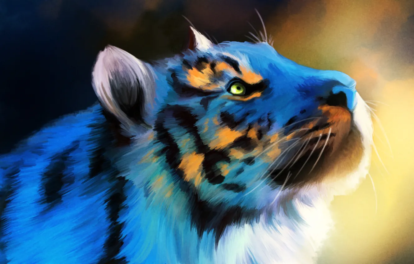 Photo wallpaper tiger, background, blue, figure, head