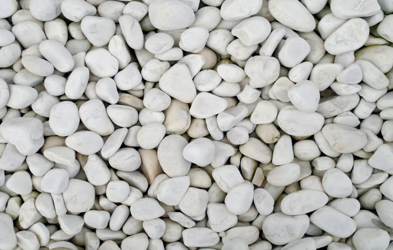 Photo wallpaper pebbles, stones, white