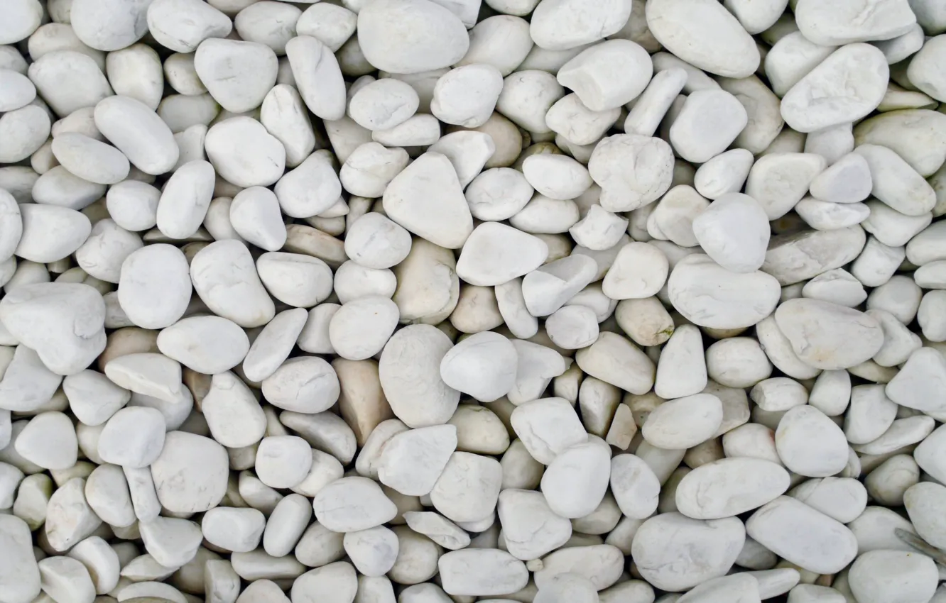 Photo wallpaper white, pebbles, stones
