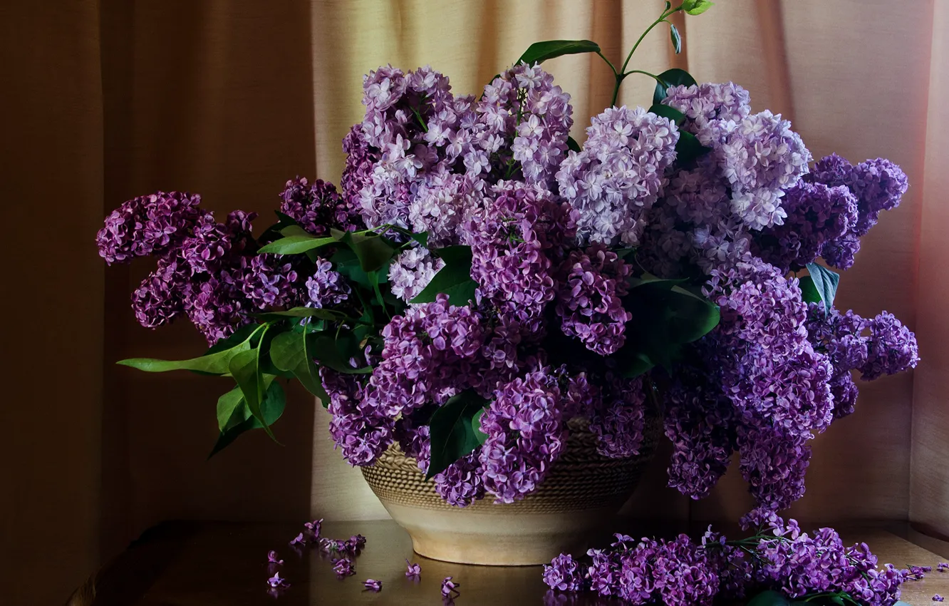 Photo wallpaper table, curtains, lilac