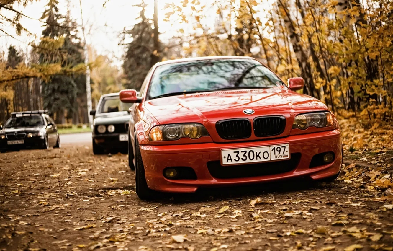 Photo wallpaper autumn, forest, leaves, BMW, E46, E28