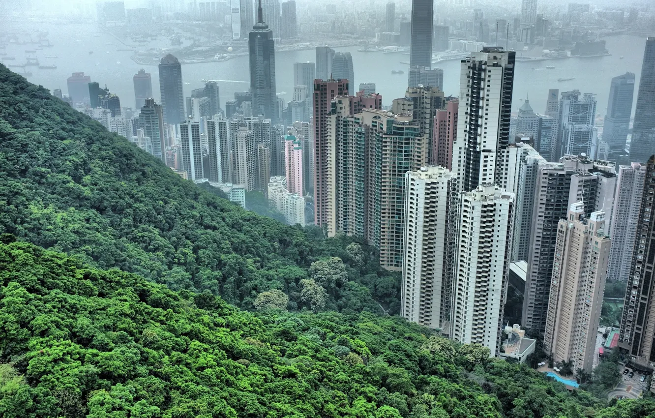Photo wallpaper trees, China, home, skyscrapers, China, gongong, hong hong