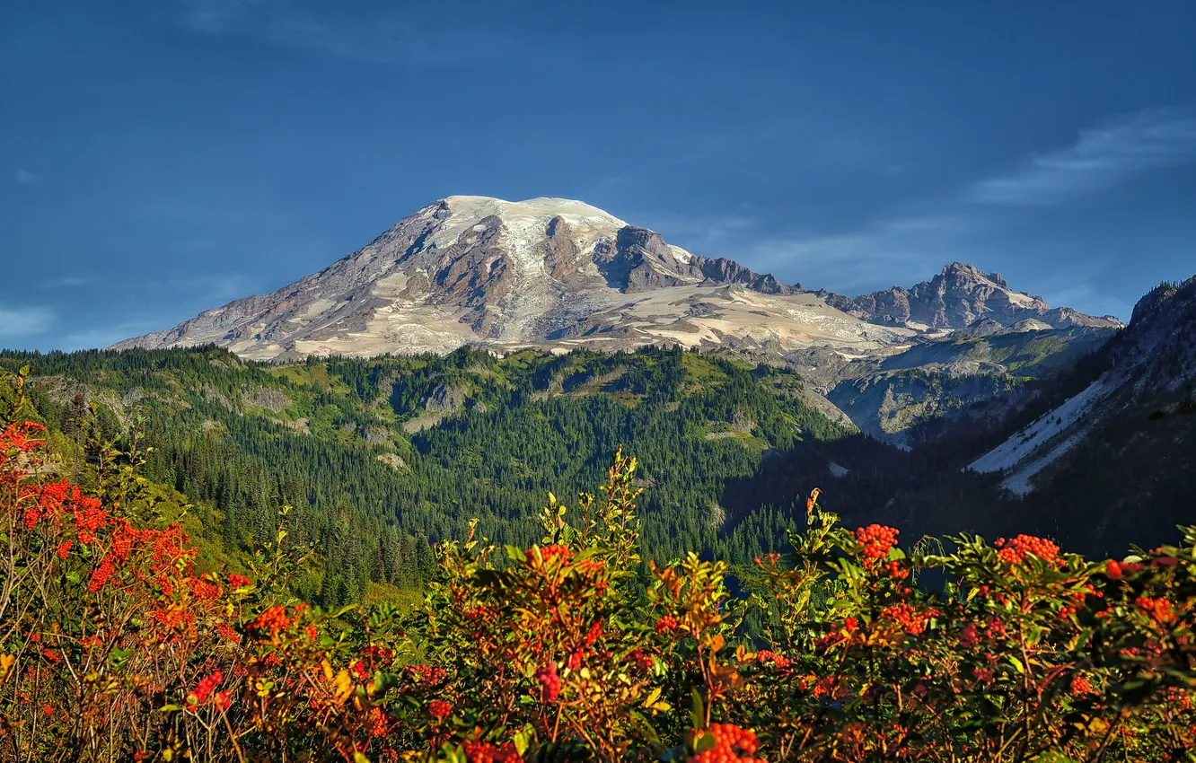 Photo wallpaper the sky, trees, flowers, mountains