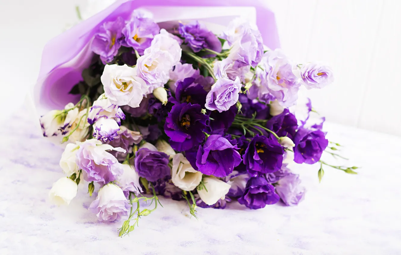Photo wallpaper white, purple, flowers, background, tape, eustoma, Timolina