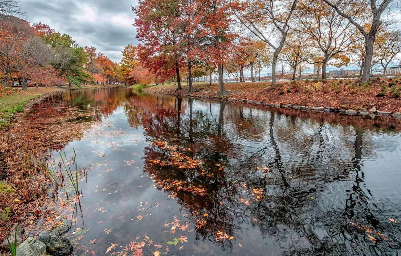 Photo wallpaper USA, autumn, trees, Boston, arboretum, Park, channel