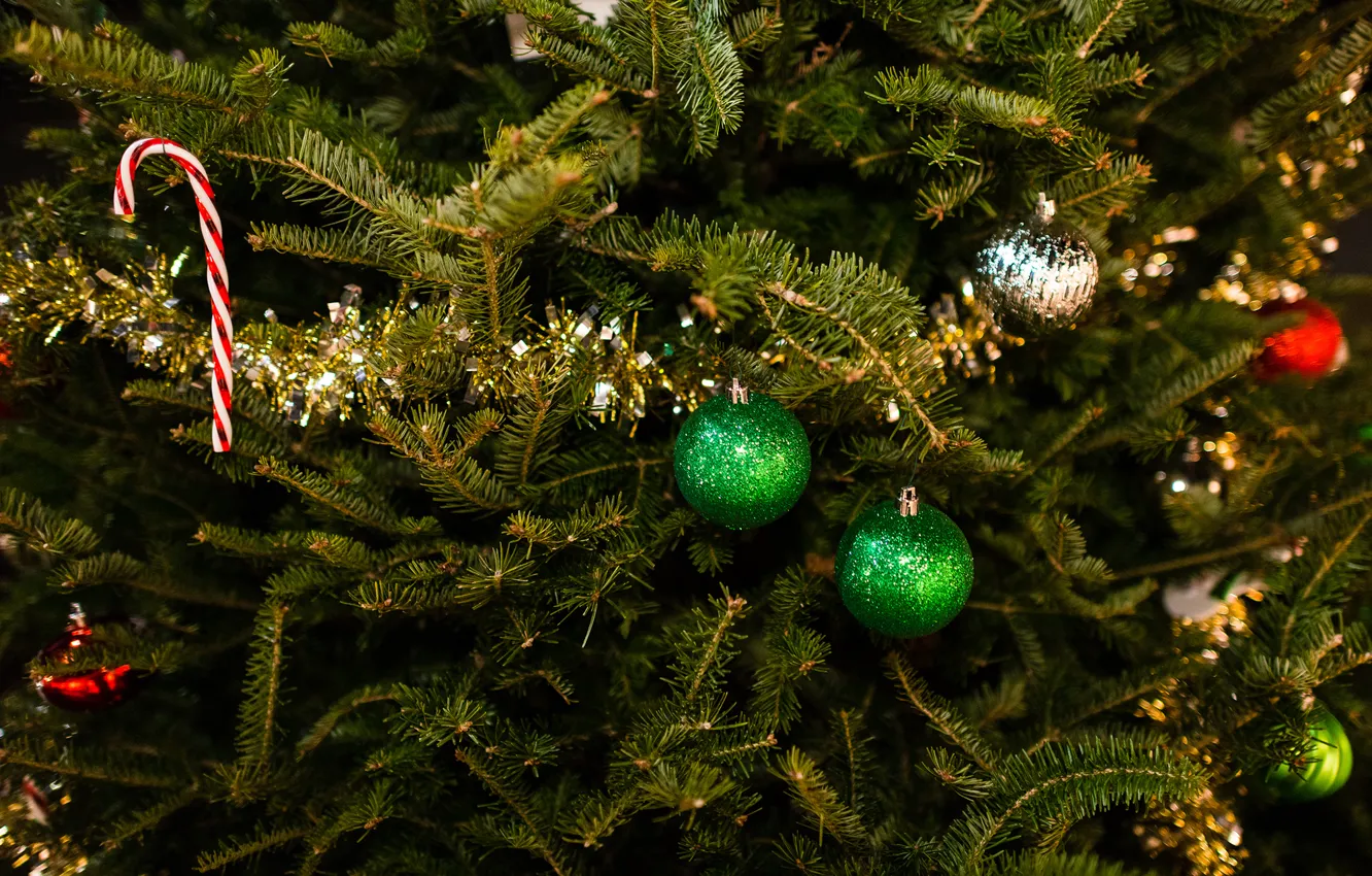 Photo wallpaper winter, balls, branches, toys, tree, spruce, New Year, green
