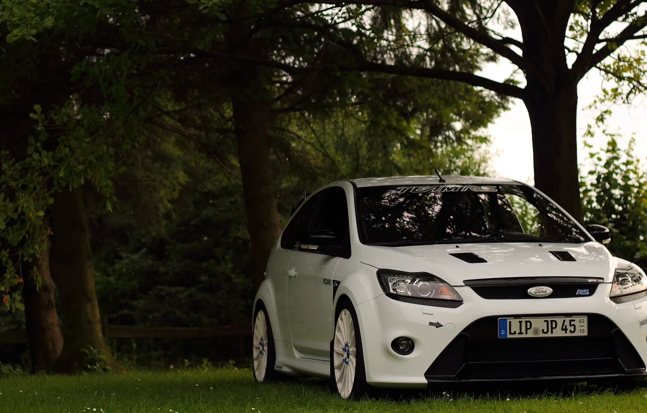 Photo wallpaper white, ford, team, focus