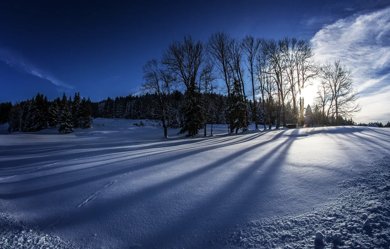 Photo wallpaper winter, field, forest, the sky, the sun, clouds, snow, trees
