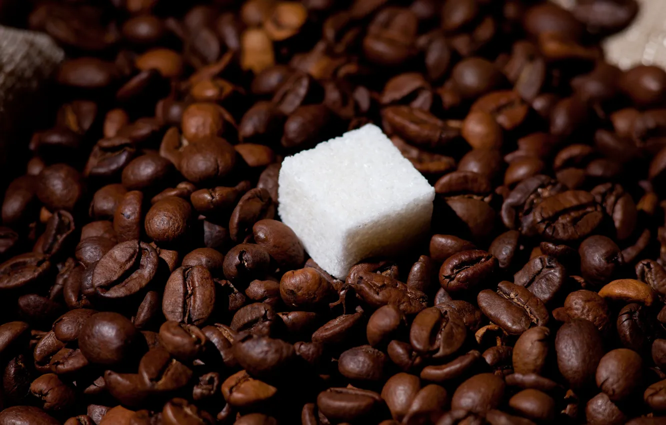 Photo wallpaper table, coffee, sugar, placer, coffee beans, piece