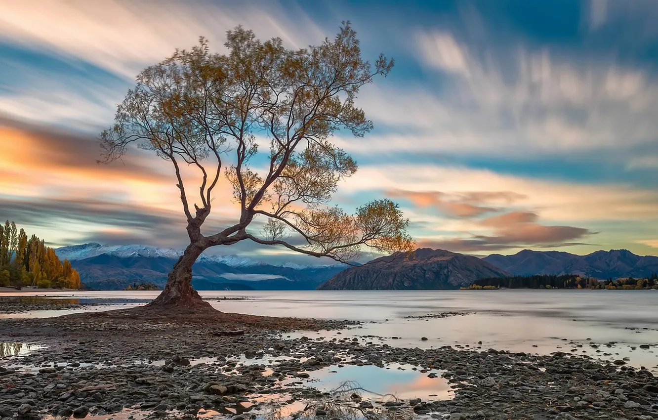 Photo wallpaper the sky, clouds, trees, landscape, mountains, lake, New Zealand, lake Wanaka