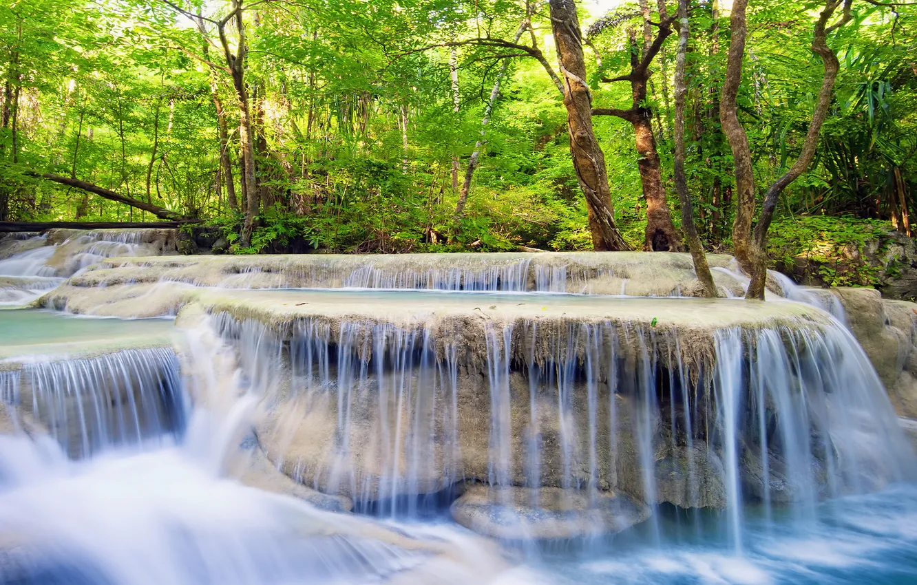 Photo wallpaper forest, river, waterfall, forest, river, landscape, waterfall, stream