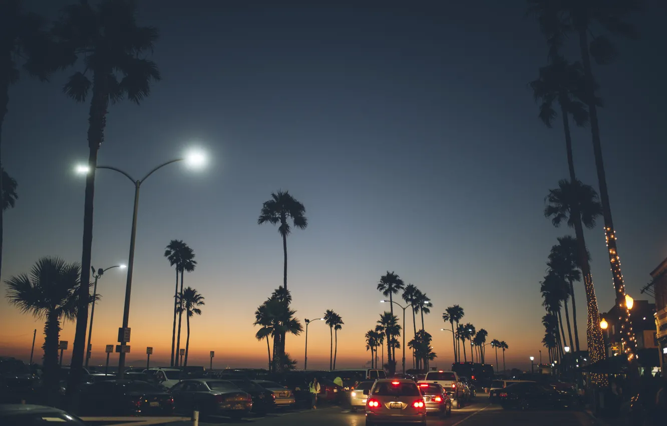 Photo wallpaper road, machine, the city, palm trees, the evening, Balboa Peninsula, Newport Beach