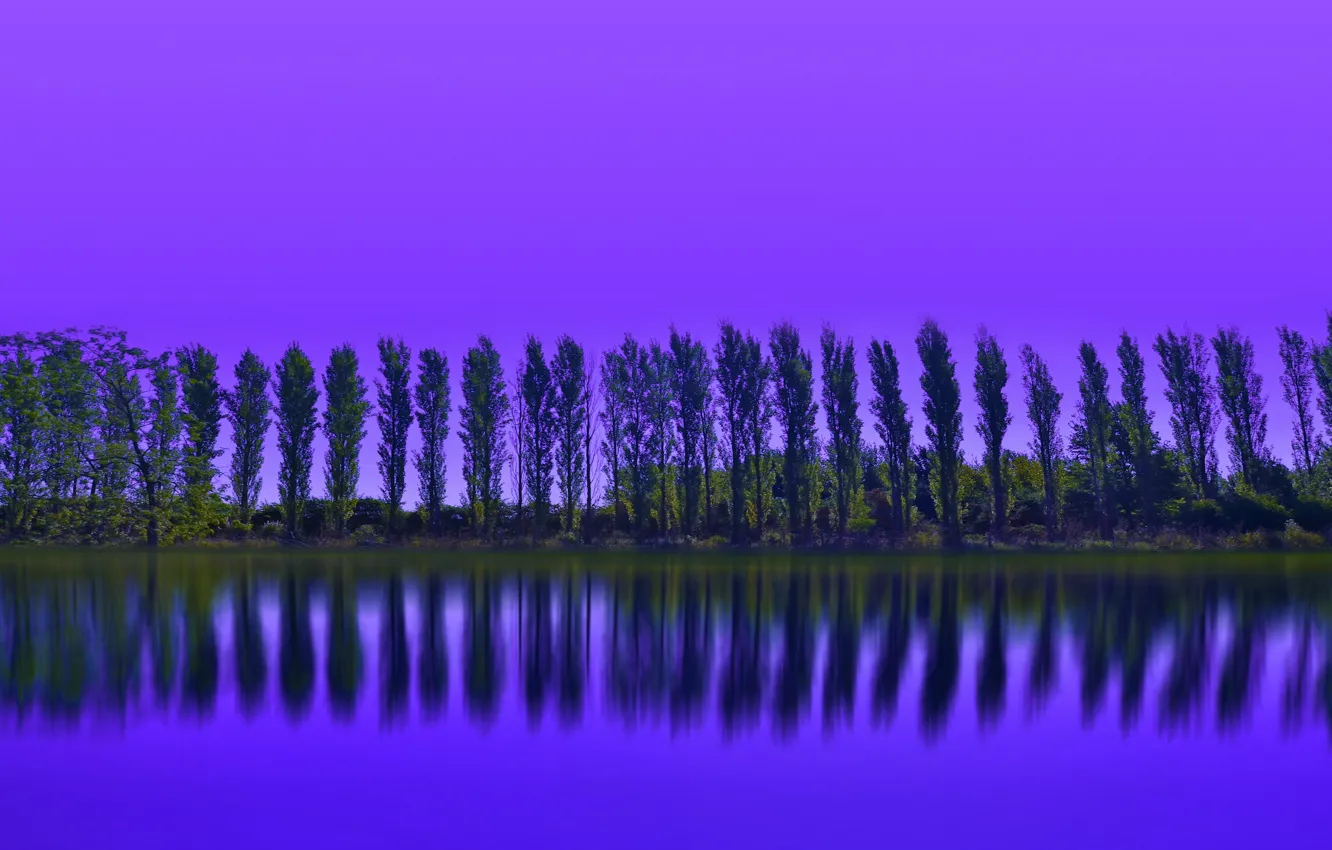 Photo wallpaper trees, reflection, a number
