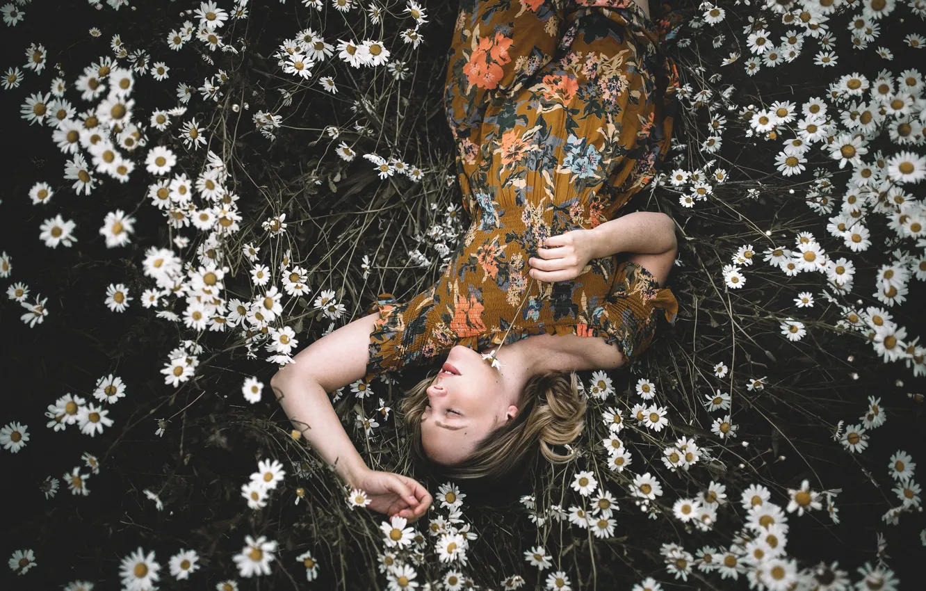 Photo wallpaper girl, flowers, mood, chamomile, dress, meadow