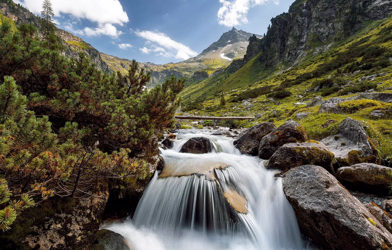 Photo wallpaper mountains, river, stones, waterfall, Austria, Alps, pine, Austria