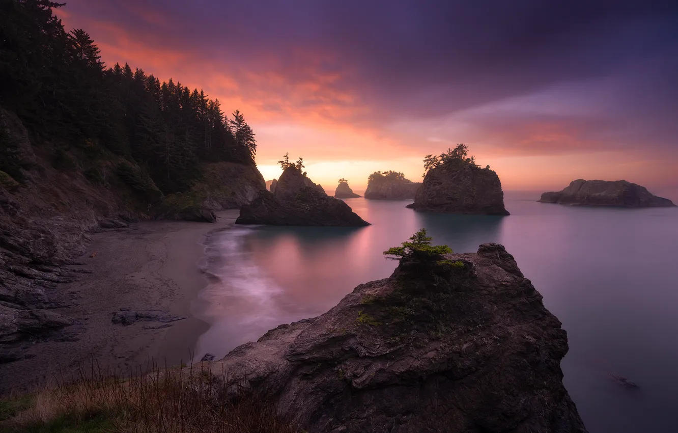Photo wallpaper sea, forest, sunset, rocks, shore