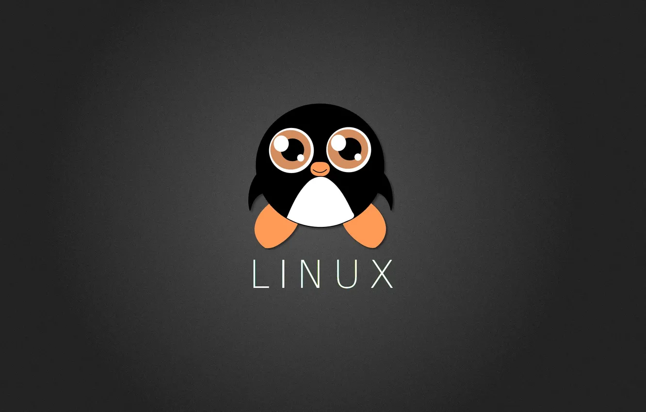 Photo wallpaper Linux, Tux, Penguin