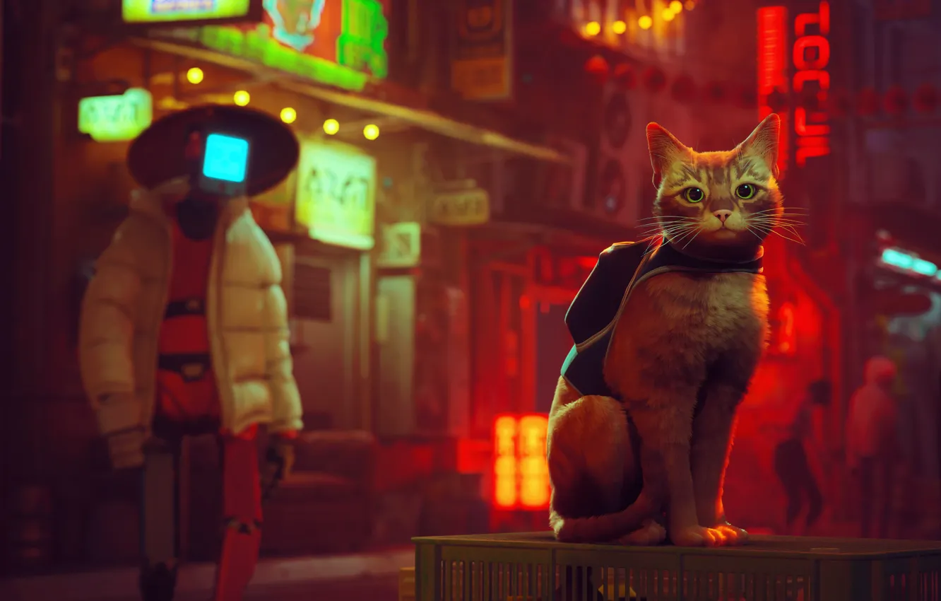 Photo wallpaper cat, look, game, hobo, Stray, BlueTwelve Studio