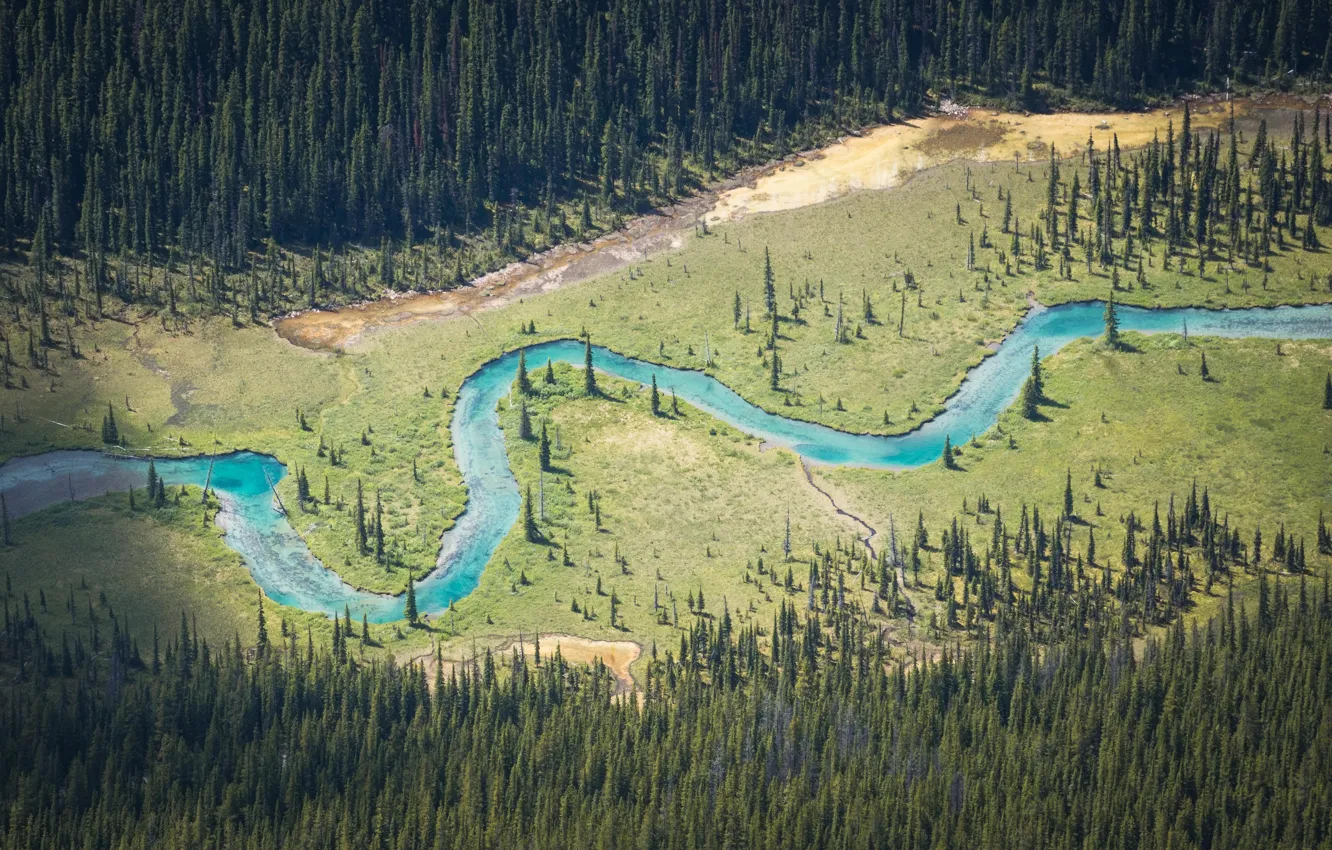 Photo wallpaper river, trees, stream
