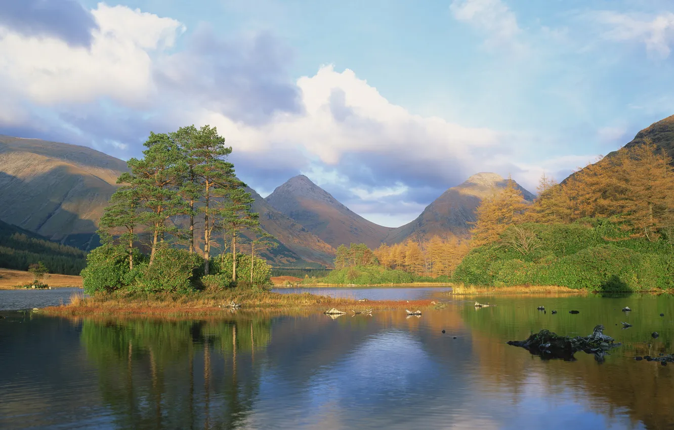 Photo wallpaper trees, mountains, lake