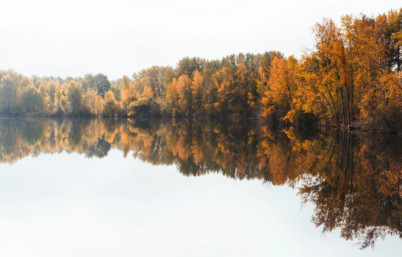 Photo wallpaper autumn, the sky, trees, lake, reflection, mirror, sunlight