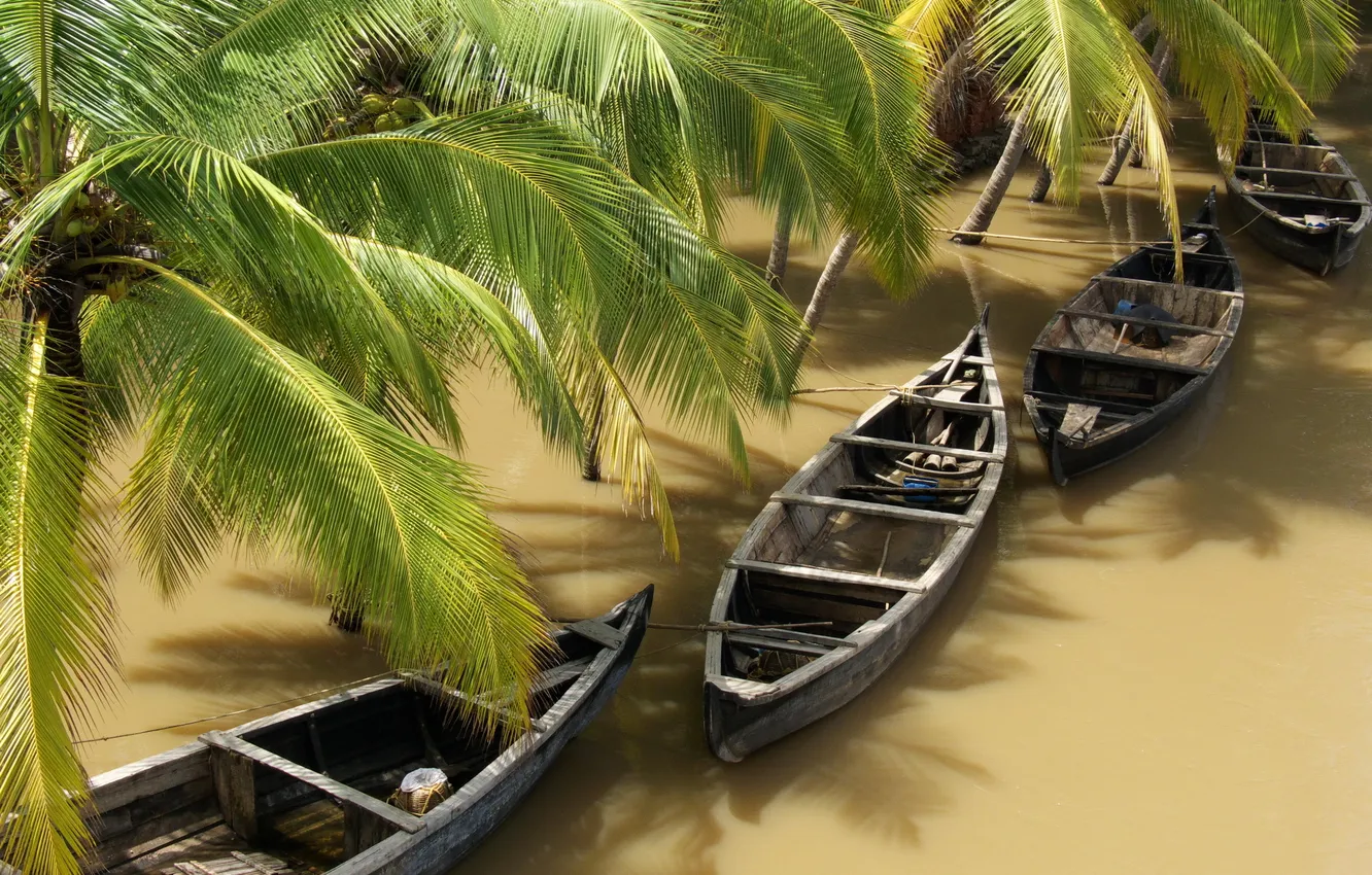 Photo wallpaper water, tropics, palm trees, boat