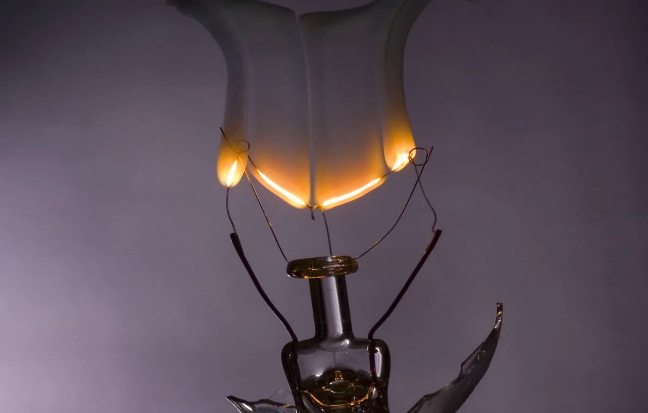 Photo wallpaper smoke, Light bulb, electricity