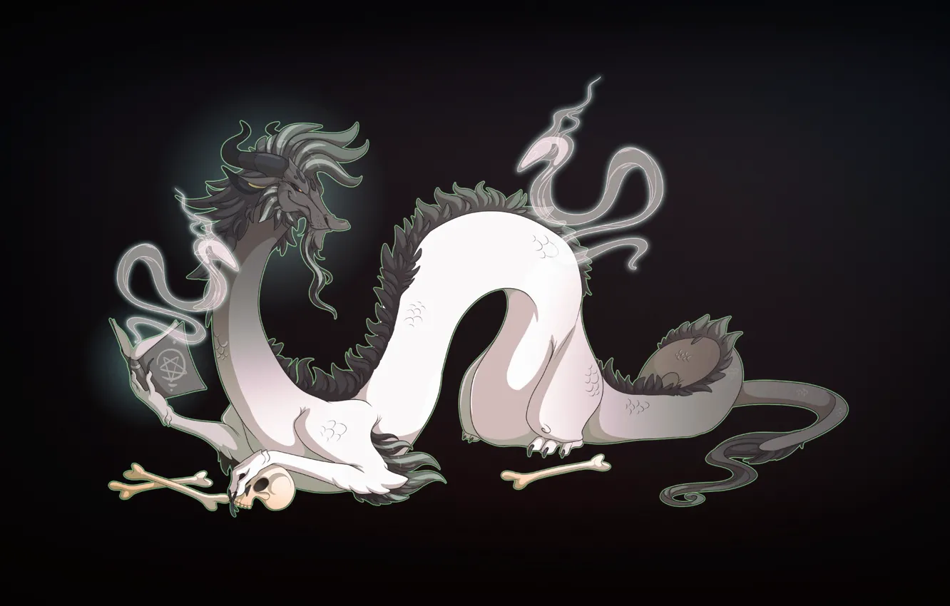 Photo wallpaper background, fiction, dragon, fantasy, Mythology, art, dragon, a mythical creature