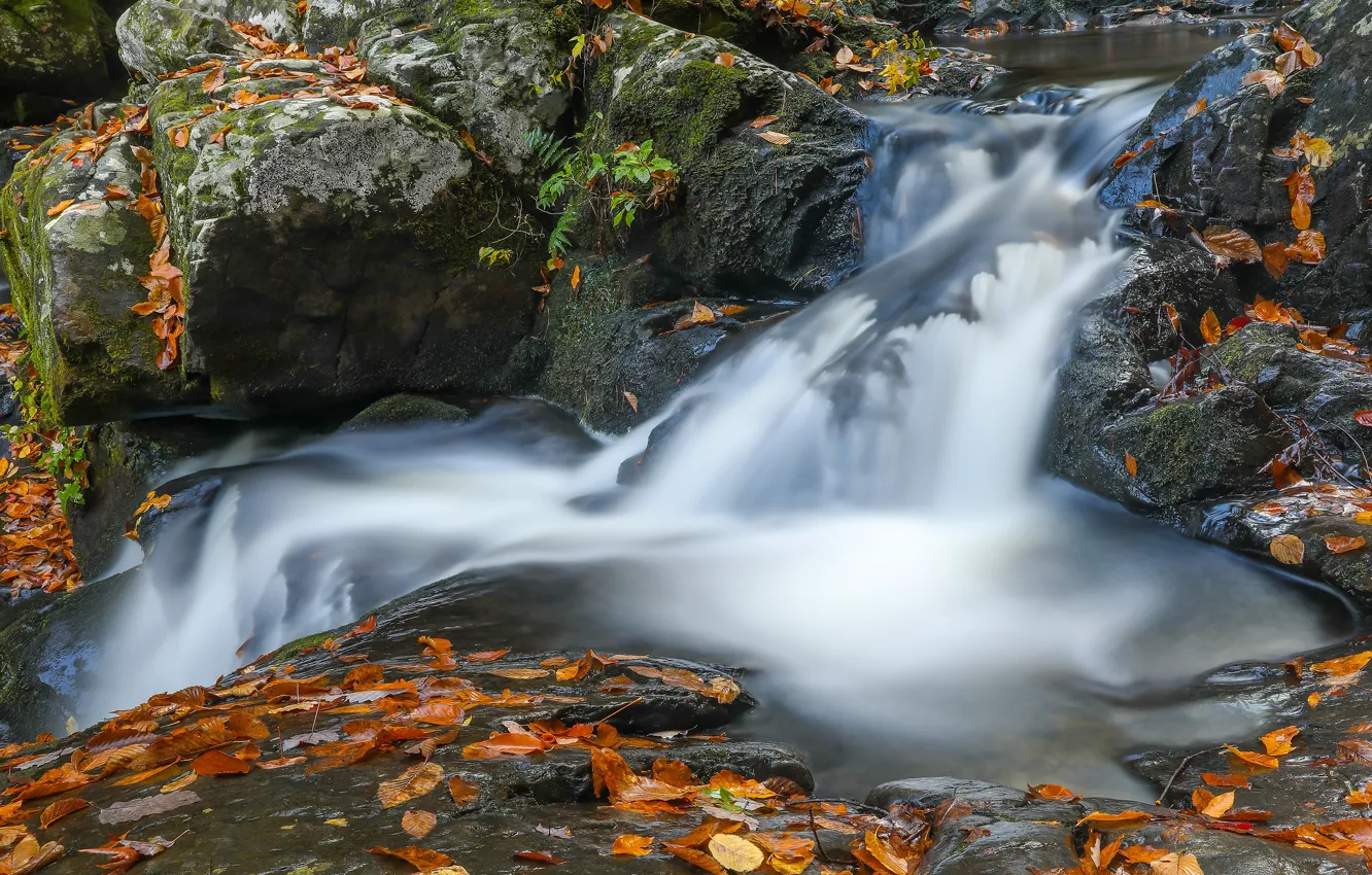Photo wallpaper autumn, leaves, stones, waterfall, stream, autumn