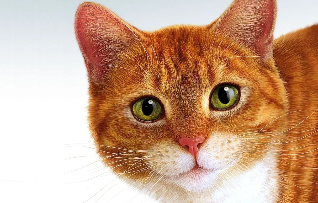 Photo wallpaper Vzglyad, smile, interest, naughty