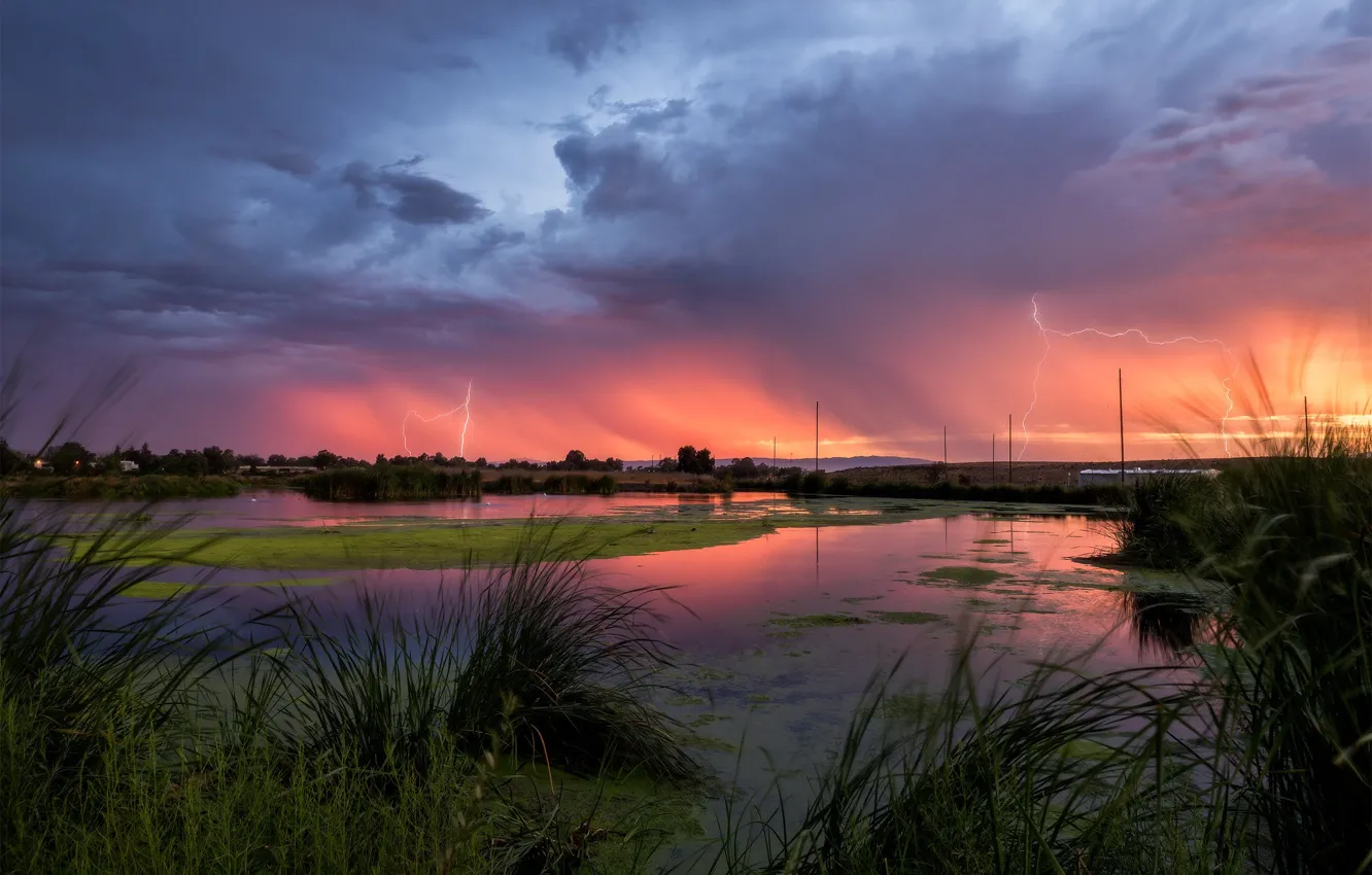 Photo wallpaper the storm, sunset, shore, lightning, pond