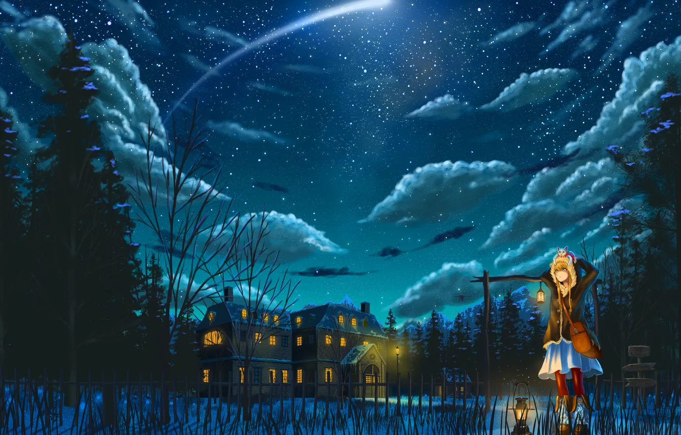 Photo wallpaper cat, stars, clouds, snow, night, lights, house, kitty
