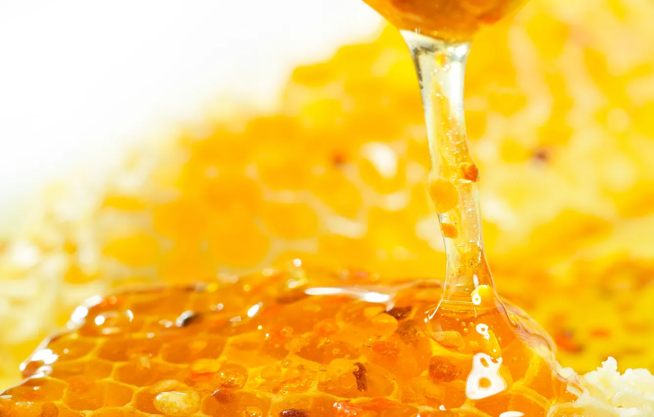 Photo wallpaper cell, honey, sweet, honey