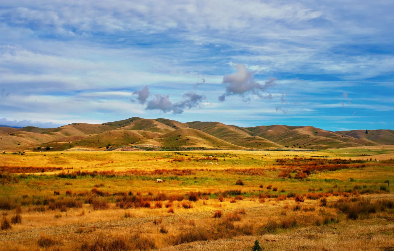 Photo wallpaper field, the sky, clouds, hills, the fence, sheep, the countryside, farm