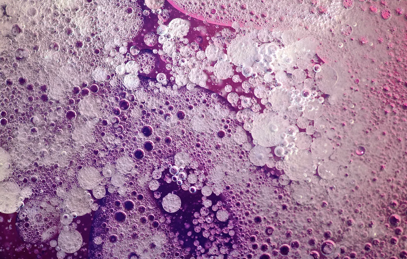 Photo wallpaper bubbles, the bottom, pink