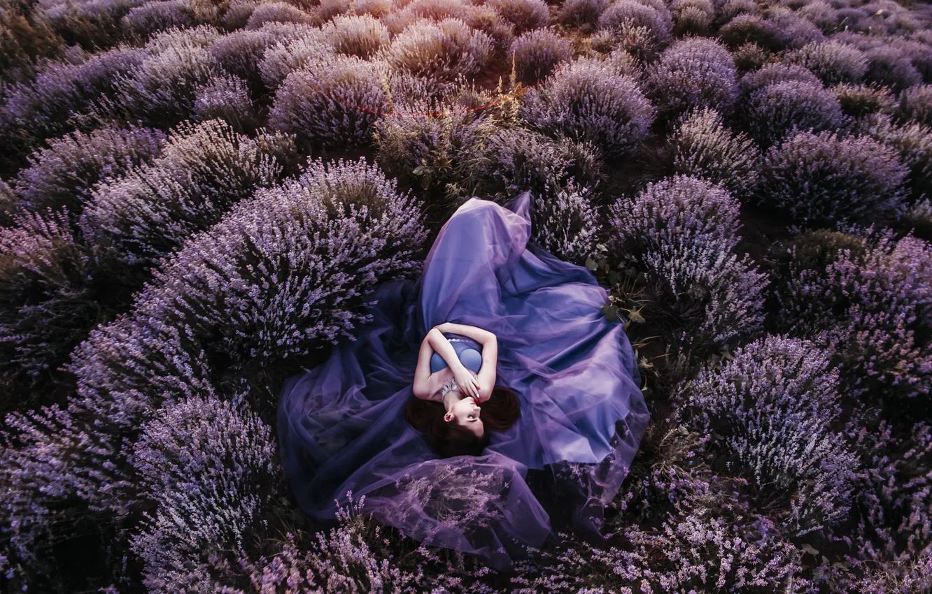 Photo wallpaper girl, flowers, nature, glade, lies, lavender, lavender field, lilac dress