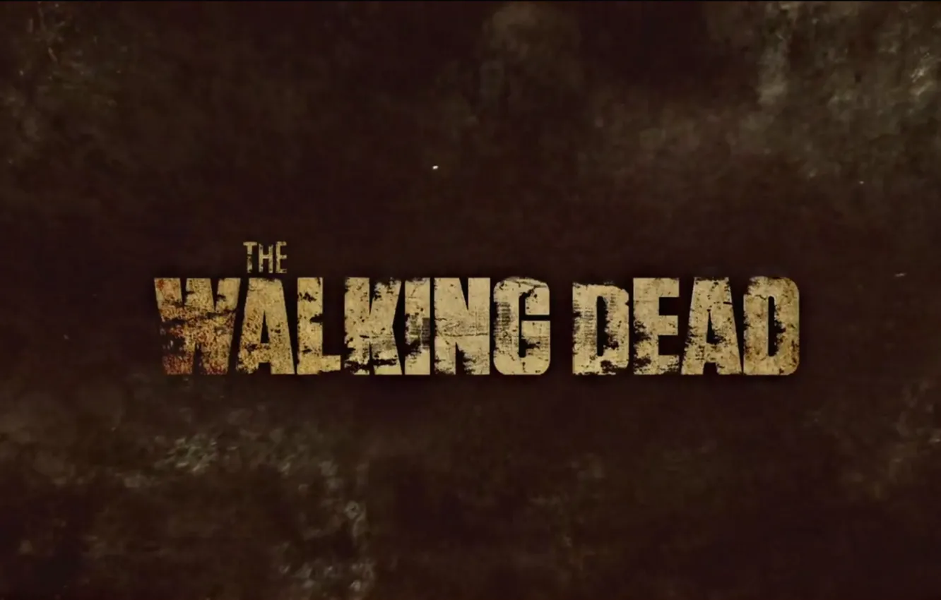 Photo wallpaper The walking dead, TWD, Walking