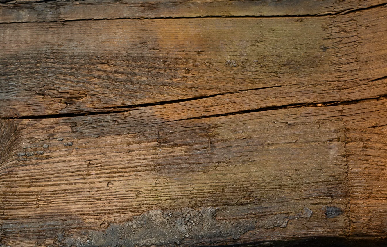 Photo wallpaper wood, brown, pattern, close up