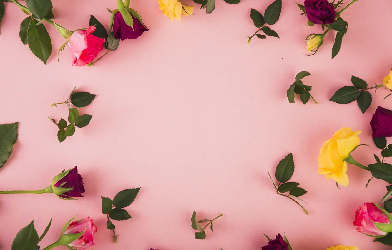 Photo wallpaper flowers, yellow, red, roses, pink