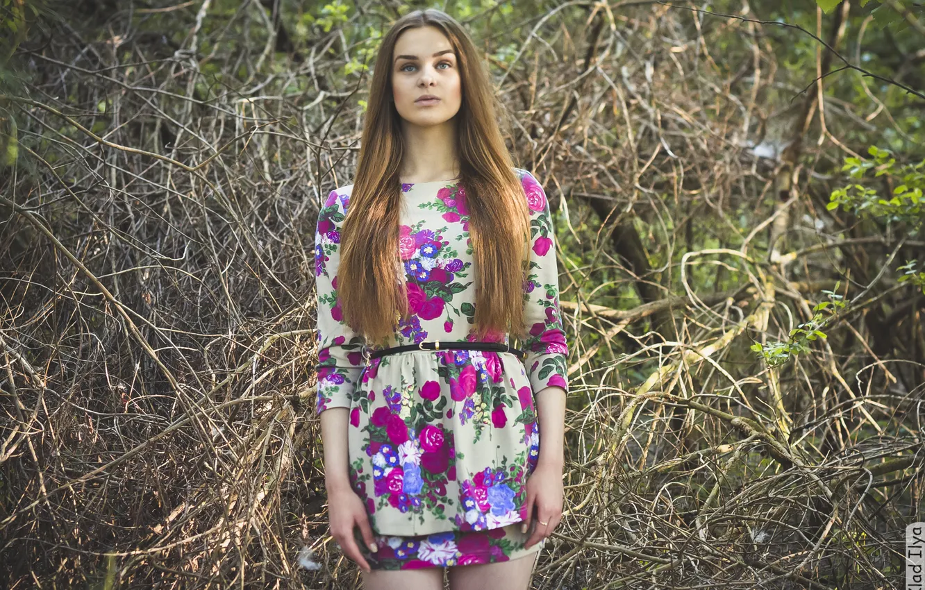 Photo wallpaper girl, trees, photographer, girl, photography, photographer, Ilya Klad, Ilya Baggage