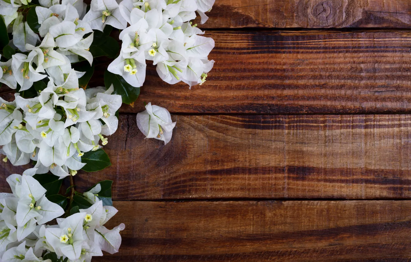 Photo wallpaper flowers, white, wood, Bougainvillea
