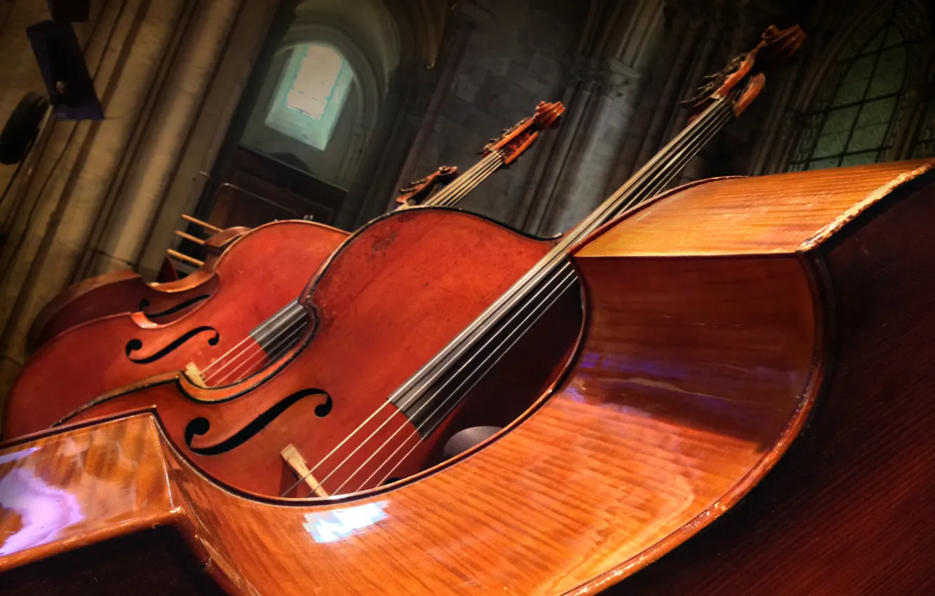 Photo wallpaper music, background, Double bass