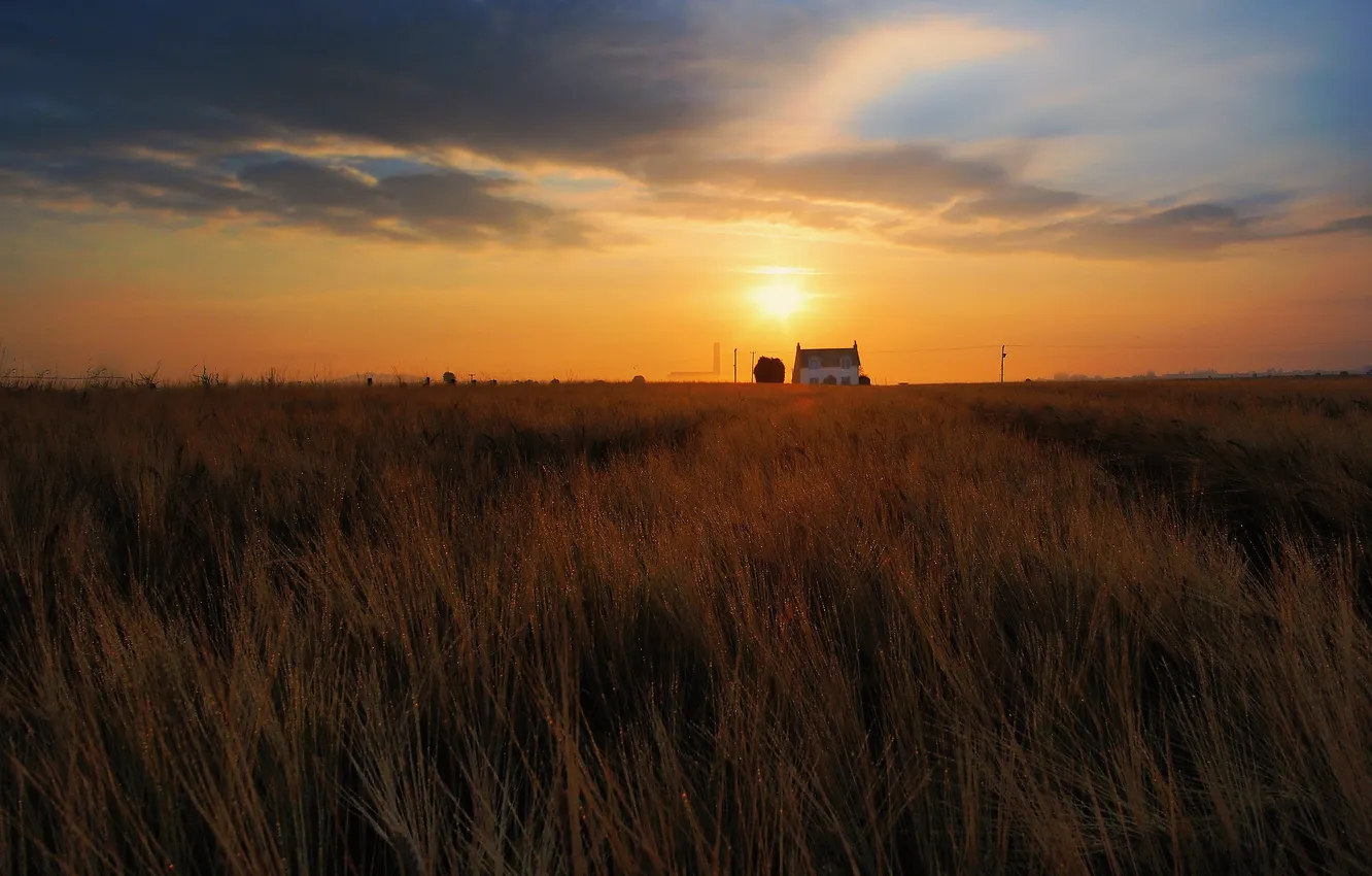 Photo wallpaper field, the sky, the sun, clouds, sunset, rye, dal, the evening