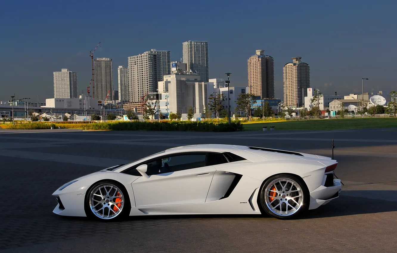 Photo wallpaper white, city, the city, profile, white, wheels, lamborghini, drives