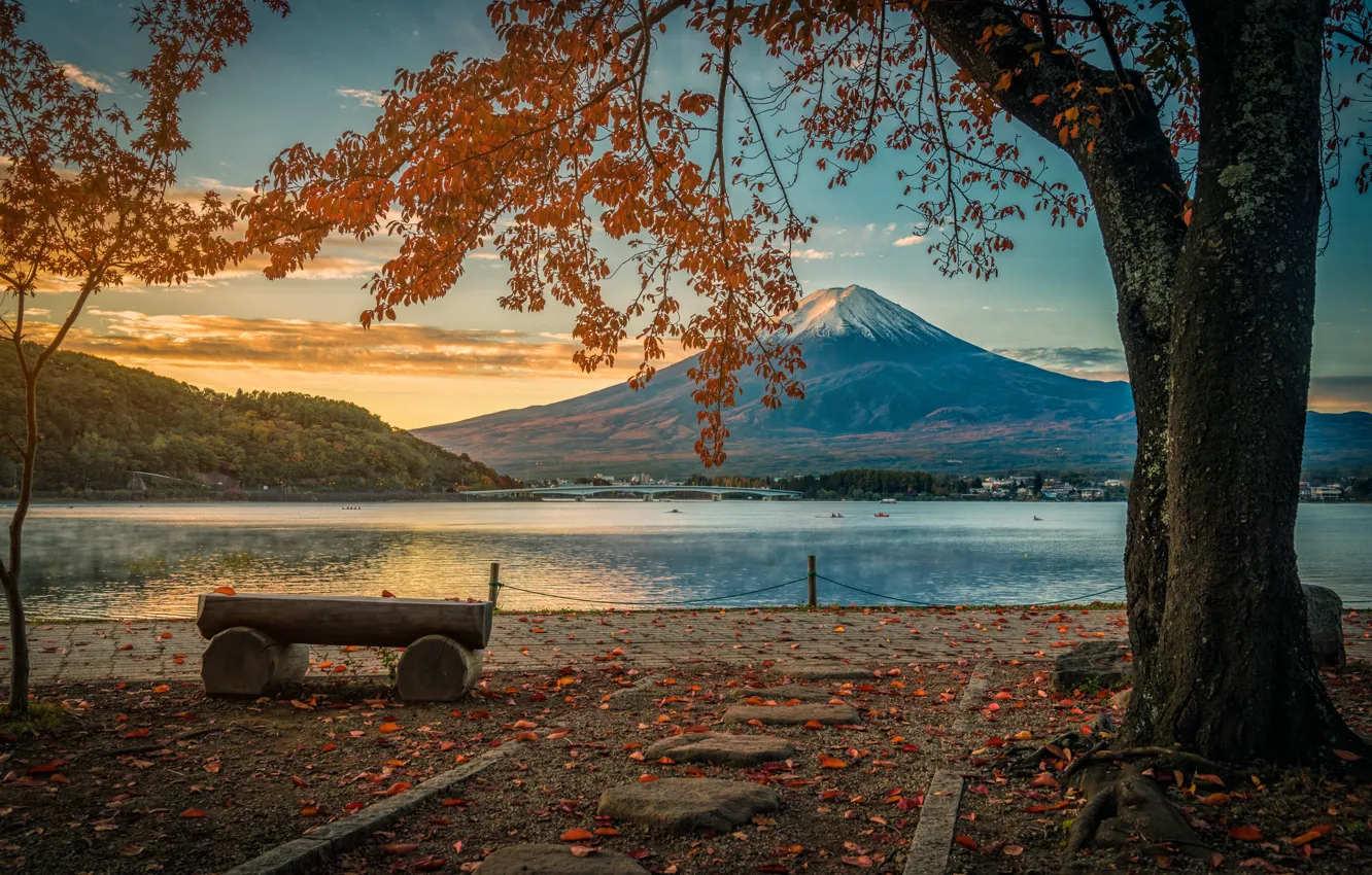 Photo wallpaper autumn, leaves, trees, Park, colorful, Japan, Japan, mount Fuji
