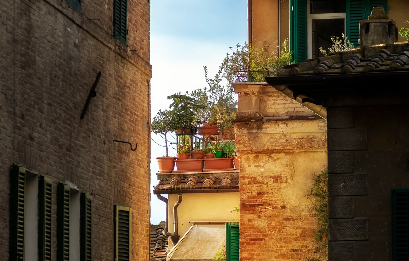 Photo wallpaper plant, Italy, pot, Italy, street, street, Tuscany, Italia