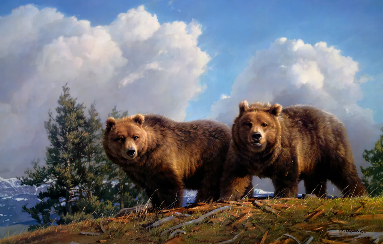 Photo wallpaper the sky, look, clouds, trees, mountains, branches, nature, pose