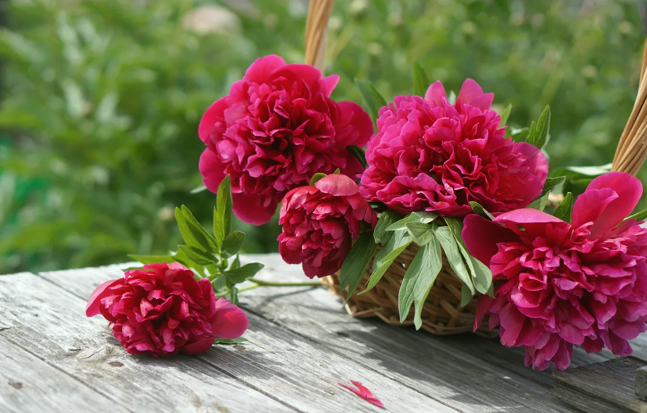 Photo wallpaper basket, buds, peonies