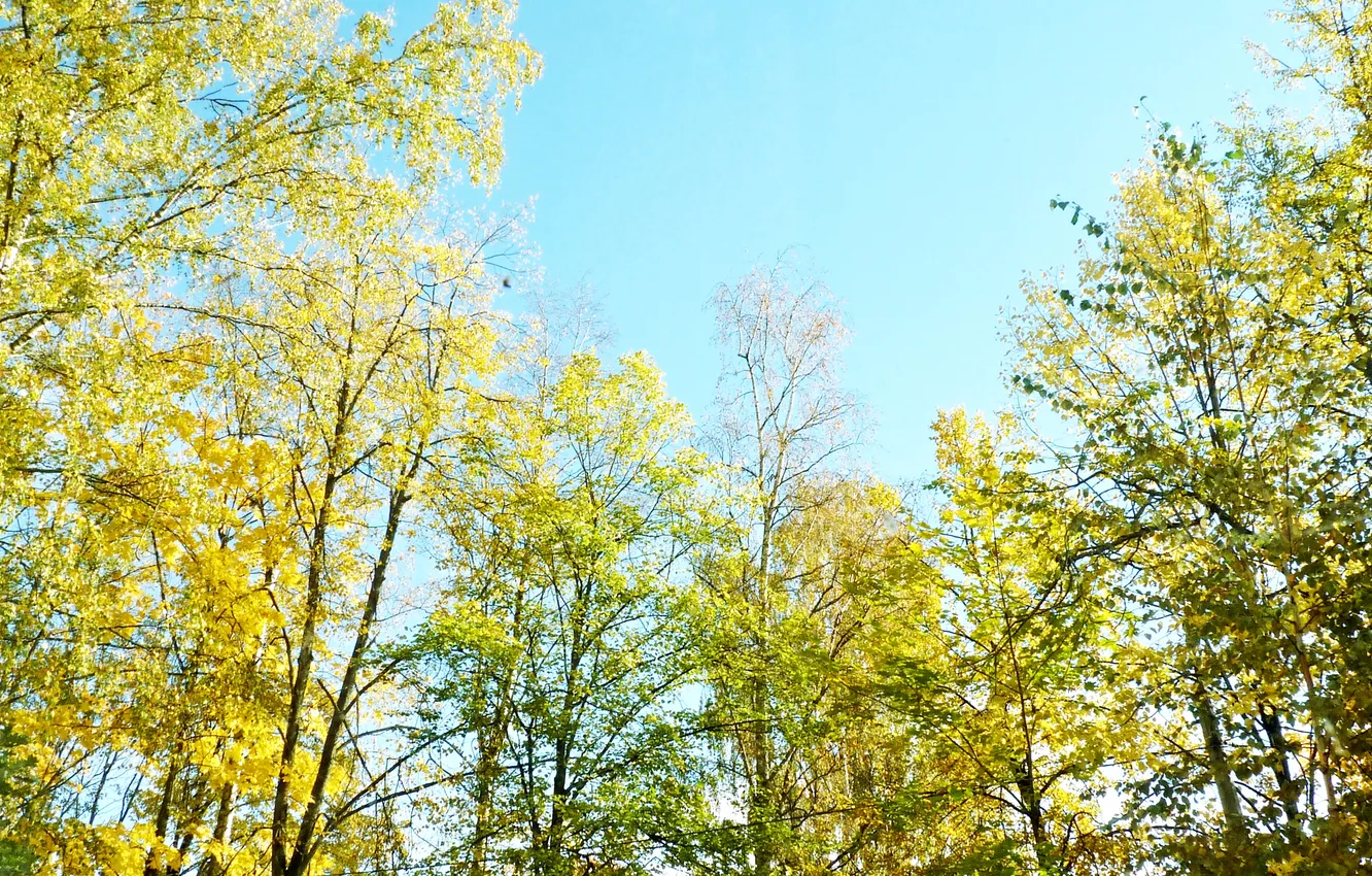 Photo wallpaper the sky, October, Autumn 2024