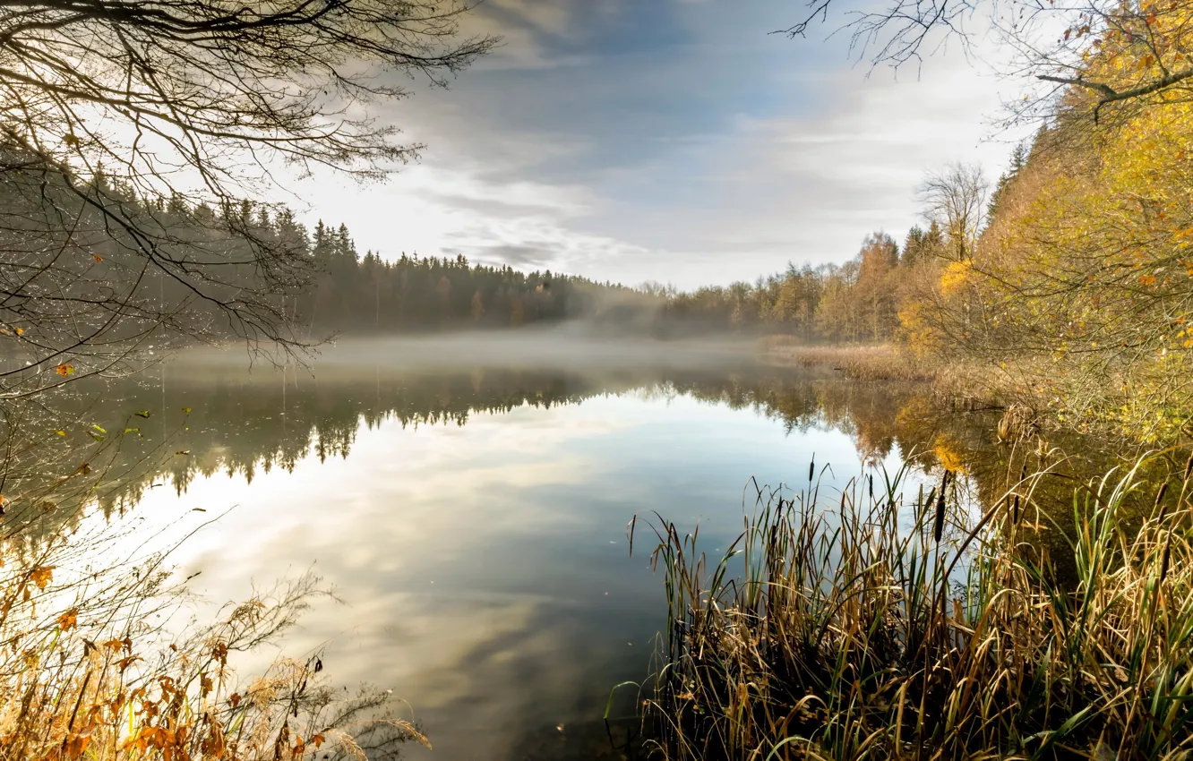 Photo wallpaper autumn, fog, lake
